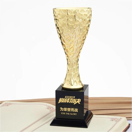 巅峰对决定制定做高档优秀员工奖品创意金属奥斯卡小金人冠军奖杯刻字 商品图0
