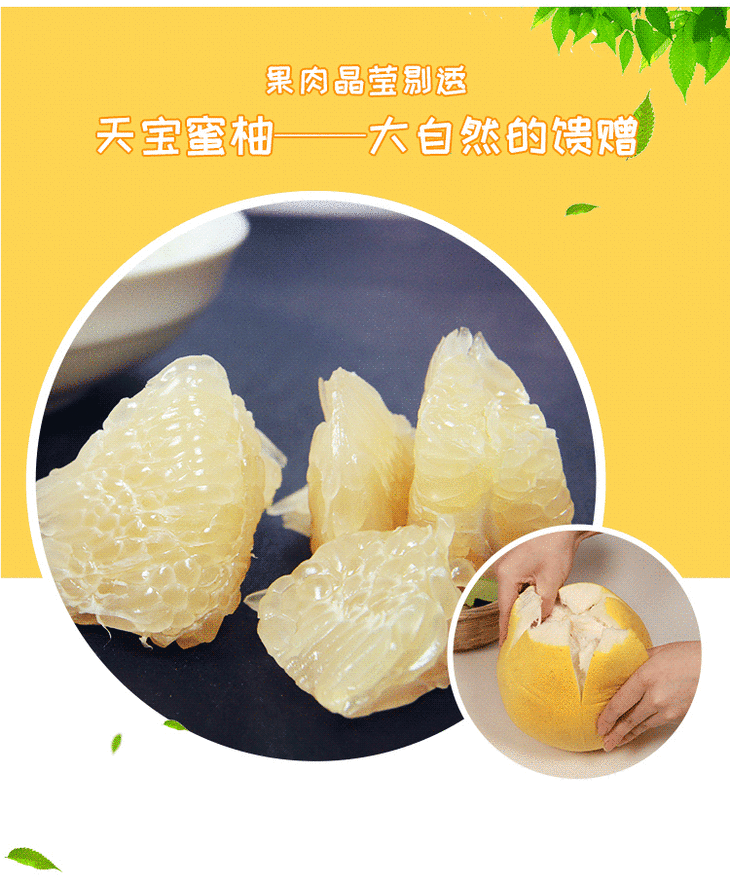 高山晚熟天宝蜜柚新鲜白肉甜蜜柚子