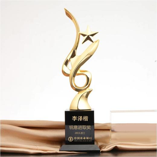 锐意进取奖杯定制定做高档优秀员工奖品创意金属奥斯卡小金人冠军奖杯刻字 商品图0