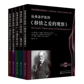 国际精神分析协会《当代弗洛伊德：转折点与重要议题》系列(套装共5册）第一辑