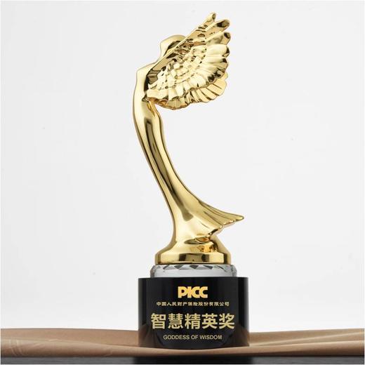 智慧女神 奖杯定制定做高档优秀员工奖品创意金属奥斯卡小金人冠军奖杯刻字 商品图0