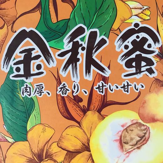 金秋十月 蜜桃成熟～脆甜 金秋蜜桃 商品图3