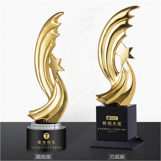 星光闪耀 奖杯定制定做高档优秀员工奖品创意金属奥斯卡小金人冠军奖杯刻字 商品图0