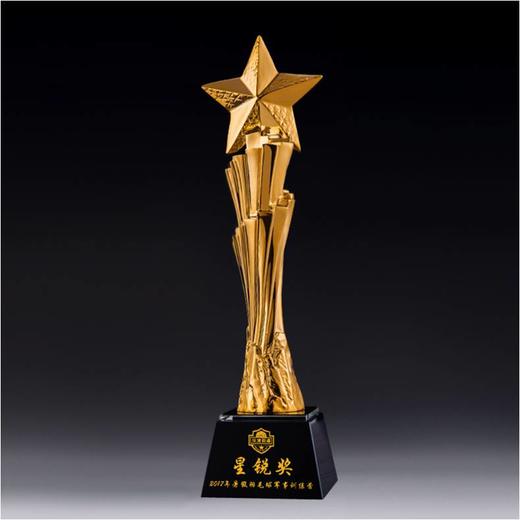 超越自我定制定做高档优秀员工奖品创意金属奥斯卡小金人冠军奖杯刻字 商品图0