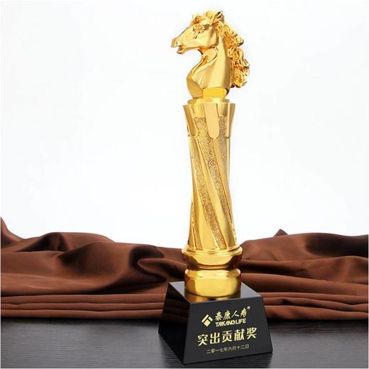 马到成功定制定做高档优秀员工奖品创意金属奥斯卡小金人冠军奖杯刻字 商品图0