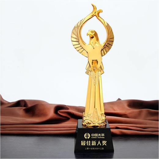 精英腾飞定制定做高档优秀员工奖品创意金属奥斯卡小金人冠军奖杯刻字 商品图0