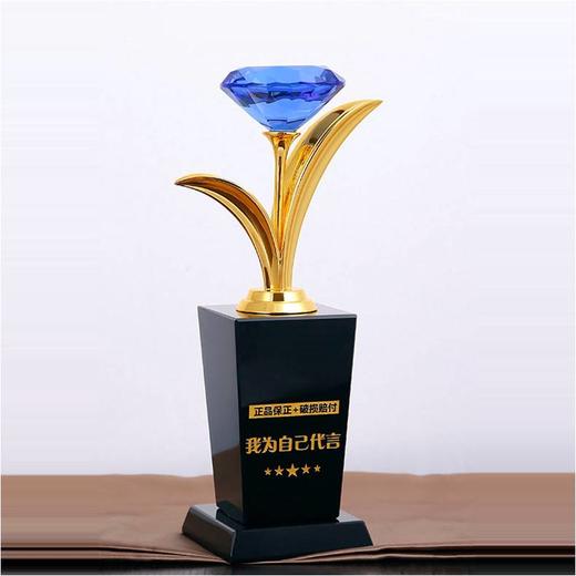 光芒四射定制定做高档优秀员工奖品创意金属奥斯卡小金人冠军奖杯刻字 商品图0