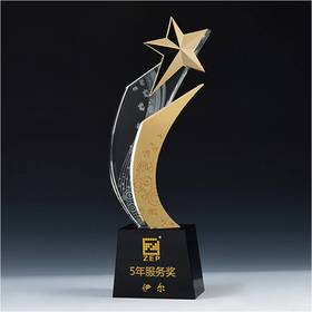 和谐共享 奖杯定制定做高档优秀员工奖品创意金属奥斯卡小金人冠军奖杯刻字