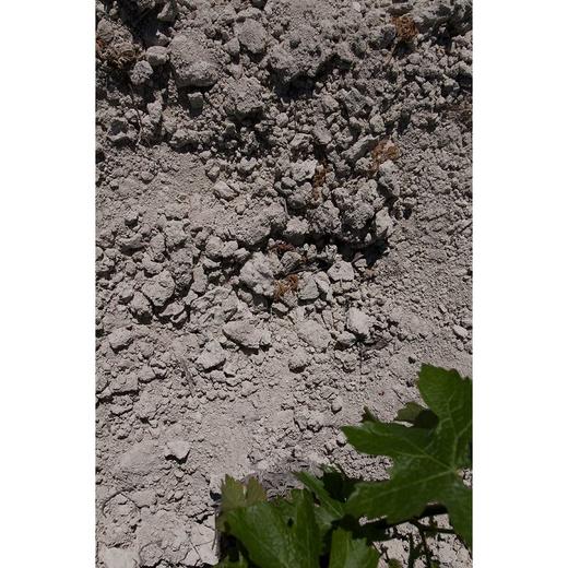 2010  QUINTA SARDONIA 商品图3