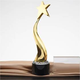 迈向未来 奖杯定制定做高档优秀员工奖品创意金属奥斯卡小金人冠军奖杯刻字