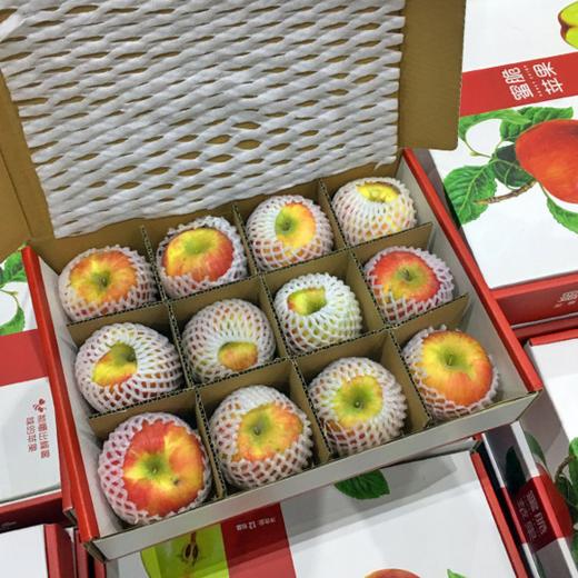 伊犁蜜脆苹果 6斤以上/箱 9个以上大果 商品图2