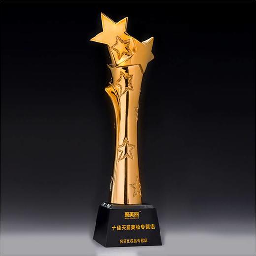 星光灿烂定制定做高档优秀员工奖品创意金属奥斯卡小金人冠军奖杯刻字 商品图0