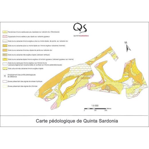 2010  QUINTA SARDONIA 商品图2