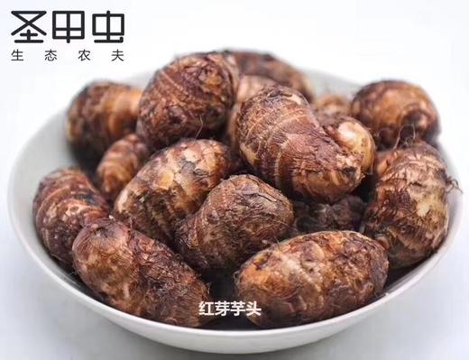 小香糯高品质正宗红芽芋 【5斤装】 商品图3