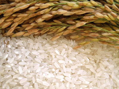 新大米(5斤装)原生态种植 商品图1