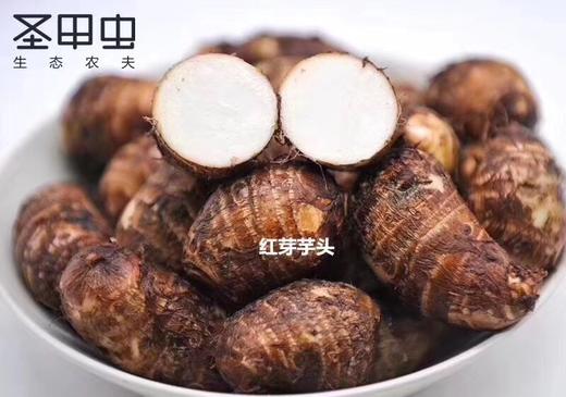 小香糯高品质正宗红芽芋 【5斤装】 商品图2