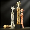 星光闪耀定制定做高档优秀员工奖品创意金属奥斯卡小金人冠军奖杯刻字 商品缩略图0