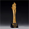 火炬之光定制定做高档优秀员工奖品创意金属奥斯卡小金人冠军奖杯刻字 商品缩略图0