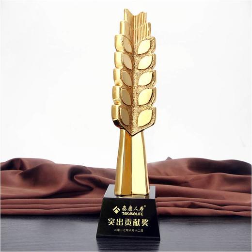 硕果累累定制定做高档优秀员工奖品创意金属奥斯卡小金人冠军奖杯刻字 商品图0