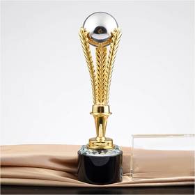 丰功伟绩定制定做高档优秀员工奖品创意金属奥斯卡小金人冠军奖杯刻字