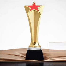 星辉独秀 奖杯定制定做高档优秀员工奖品创意金属奥斯卡小金人冠军奖杯刻字