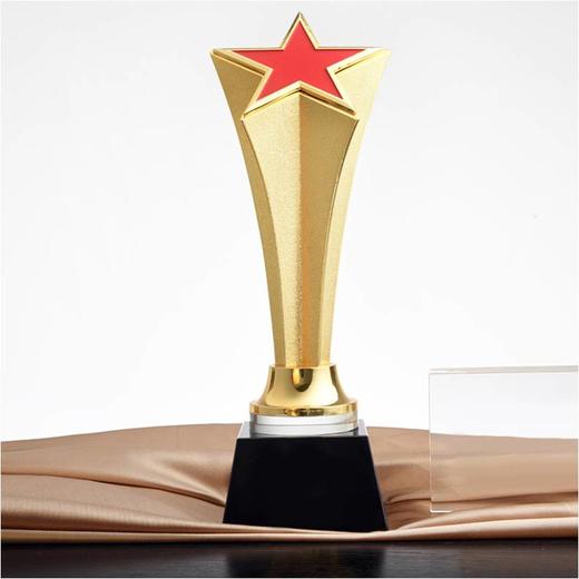 星辉独秀 奖杯定制定做高档优秀员工奖品创意金属奥斯卡小金人冠军奖杯刻字 商品图0
