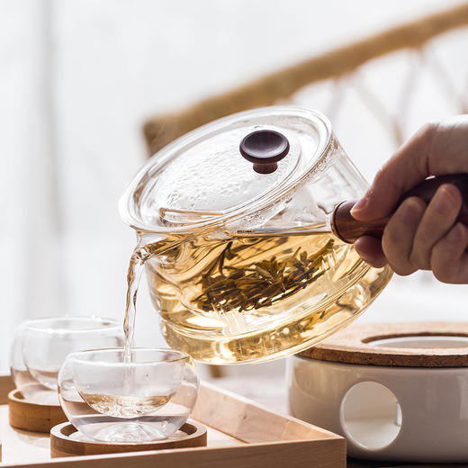 摩登主妇耐高温玻璃花茶壶带把功夫茶茶具套装家用养生烧水煮茶壶 商品图1