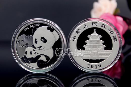 2019版30克熊猫银币 商品图4