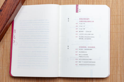 梁冬说庄子•徳充符 商品图3