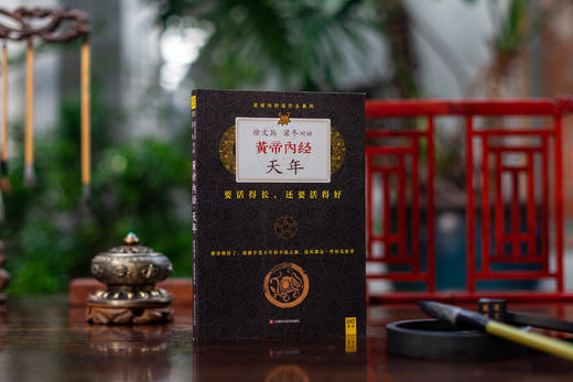 梁冬对话徐文兵：黄帝内经•天年 商品图1