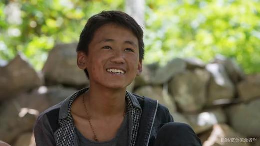 四川省甘孜州 | 长在树上的辣椒（碎米树椒 2020） 商品图5