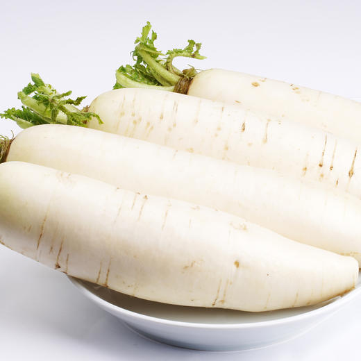 长白萝卜1000克 商品图3
