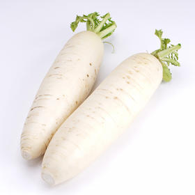 年卡-长白萝卜1000g