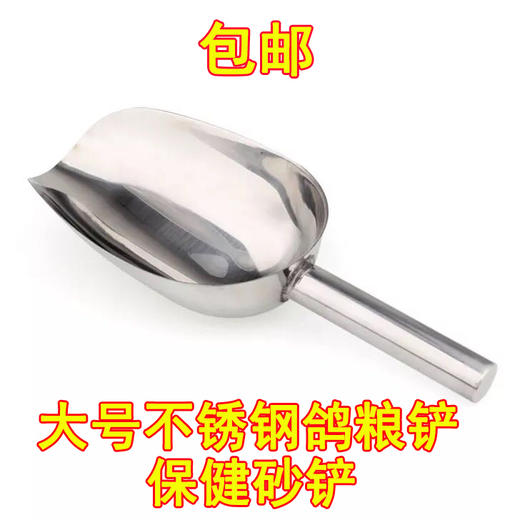 【大号粮铲】不锈钢铲子/大号加厚款/喂鸽子铲/信鸽用品 商品图0