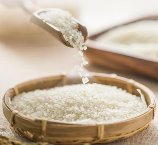 新米 经典生活105【私人定制 】 正宗五常稻花香大米5kg包邮 一粒不掺假 商品图0