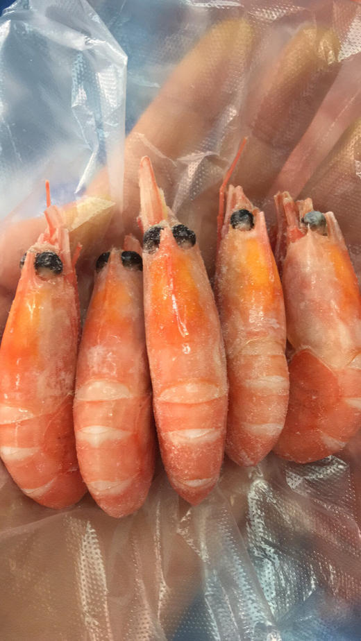 海女神北极虾头腹籽混合90120规格