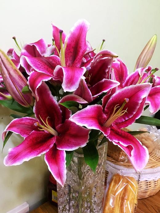 双头卡瓦娜百合5支一份10个花苞