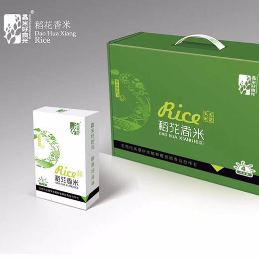 【2025新米上市】我师兄老家的正宗东北五常大米，稻花香2号，中国著名的优质大米产地，全国包邮 商品图0