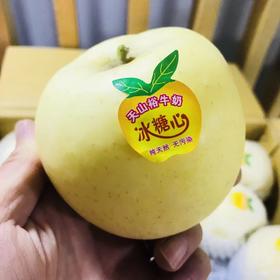 糖露苹果一箱8-9头