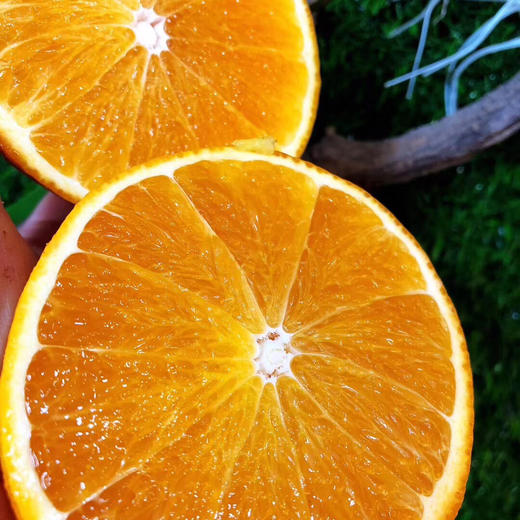 【秒拍尝鲜爱媛果冻橙到店】！汁多的溢出来！纯甜，一丢丢酸。薄！美！无核 ，请叫我橙子君！果皮薄透，多汁 商品图3