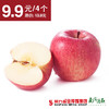 【口感脆甜】洛川苹果70-75mm  单果约155-185g  4个 商品缩略图0