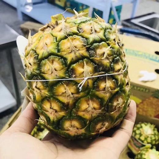 凤梨 商品图1