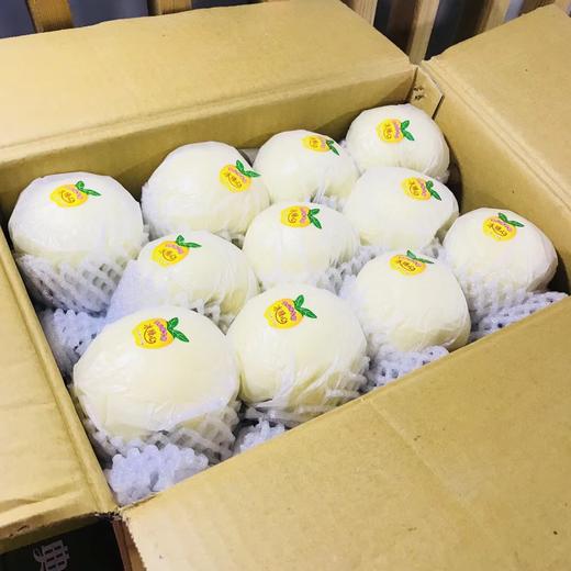 糖露苹果一箱8-9头 商品图4