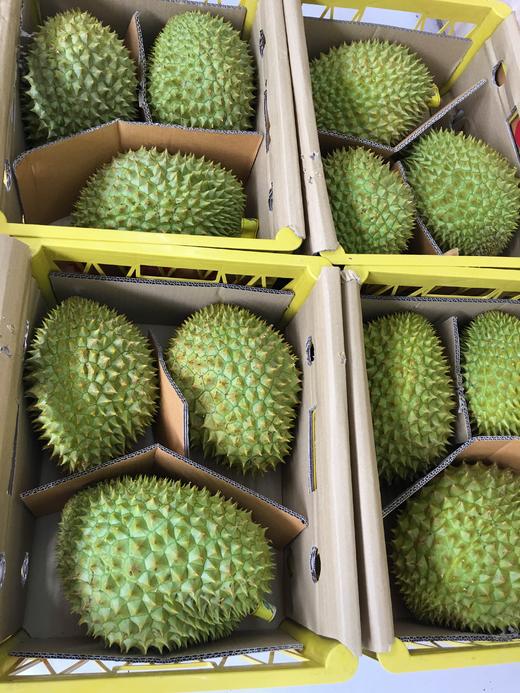 宏丰精选泰国干尧榴莲口感相当不错香甜糯哦298元一斤