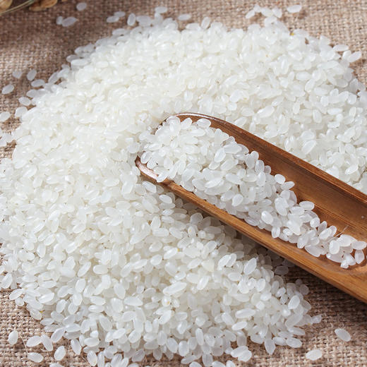 特价329松花江东北圆粒珍珠大米5kg包装10斤大米