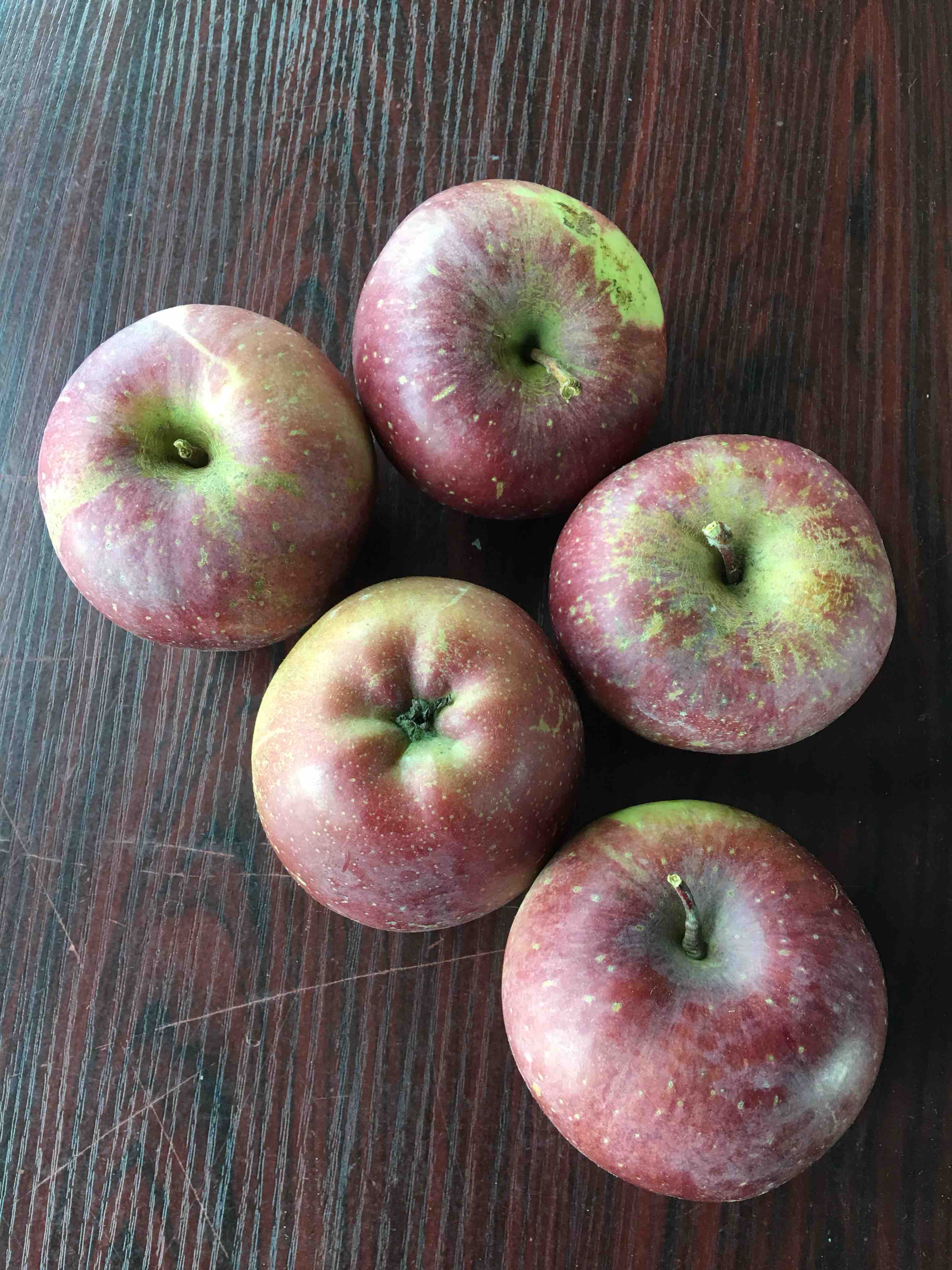 云南昭通高原丑苹果挂霜苹果超好吃5斤大果装约11个包邮15号后发货