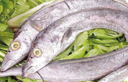 人民店 刀鱼大 - 新世纪到家