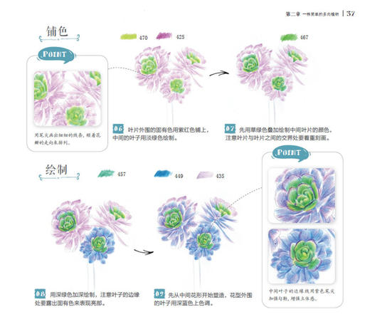 多肉绘生活 37种多肉植物色铅笔图绘 化学工业出版社官方旗舰店