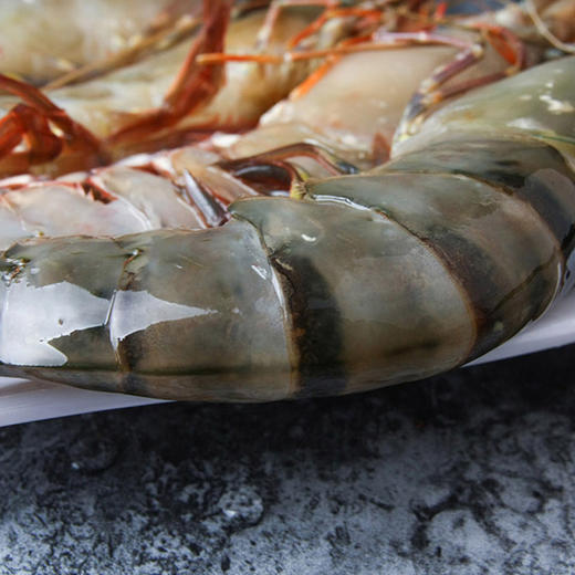 越南草虾黑虎虾23600g