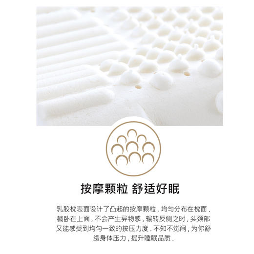皇室泰国乳胶枕 商品图7